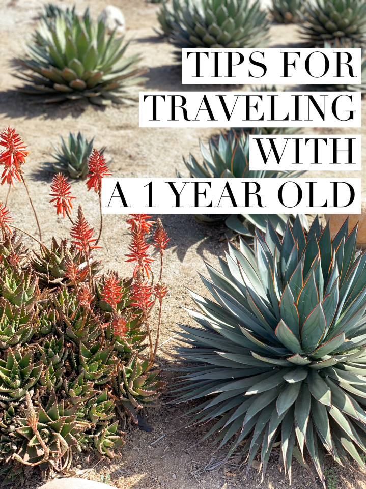 TIPS FOR TRAVELING WITH A 1 YEAR OLD - FIGS AND FAMILY - COVER PHOTO.JPG